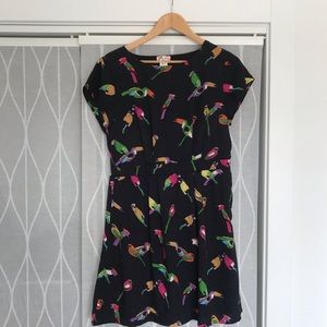 🦜 Super Sweet Parrot Dress 🦜